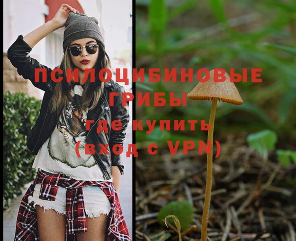спайс Елабуга