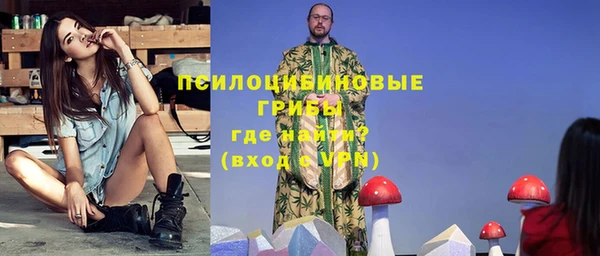 МДПВ Галич