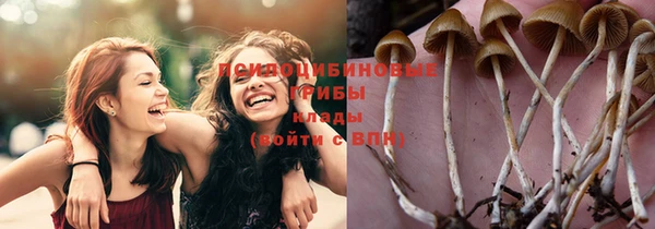 экстази Елизово