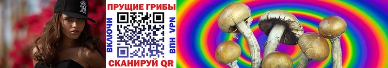 Галлюциногенные грибы мицелий  наркота  Инта 